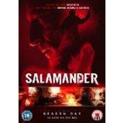 Salamander: The Complete Season One [DVD] [2012]